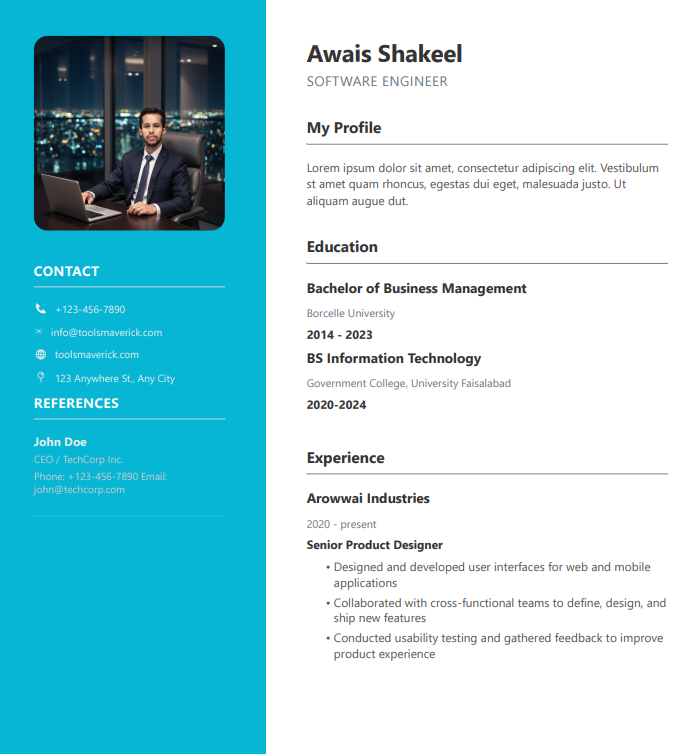ToolsMaverick resume Teamplete 3