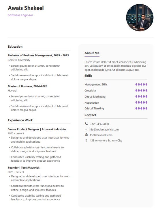 ToolsMaverick resume Teamplete 4